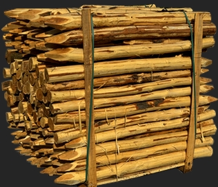 Piquets acacia épointé